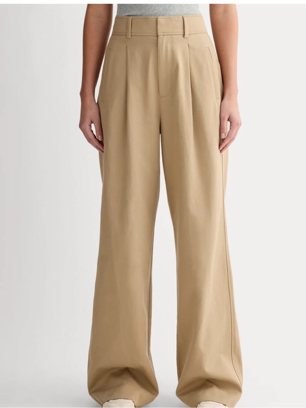 Everlane high-rise pleated wide-leg pants in a classic tan/khaki shade Size 6